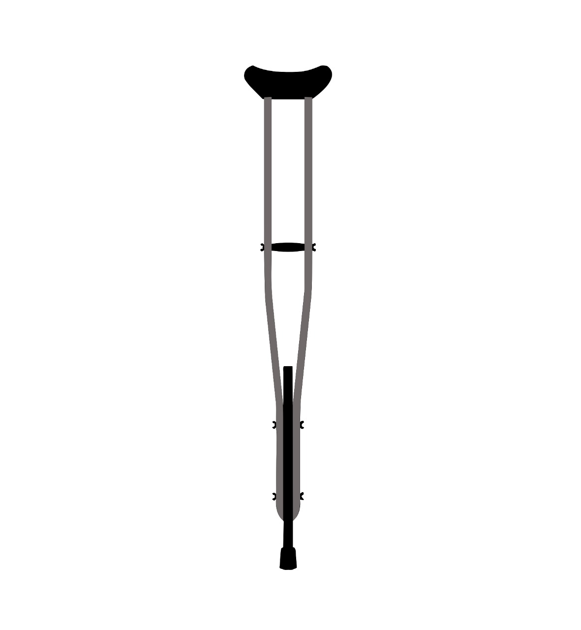 Walking Stick
