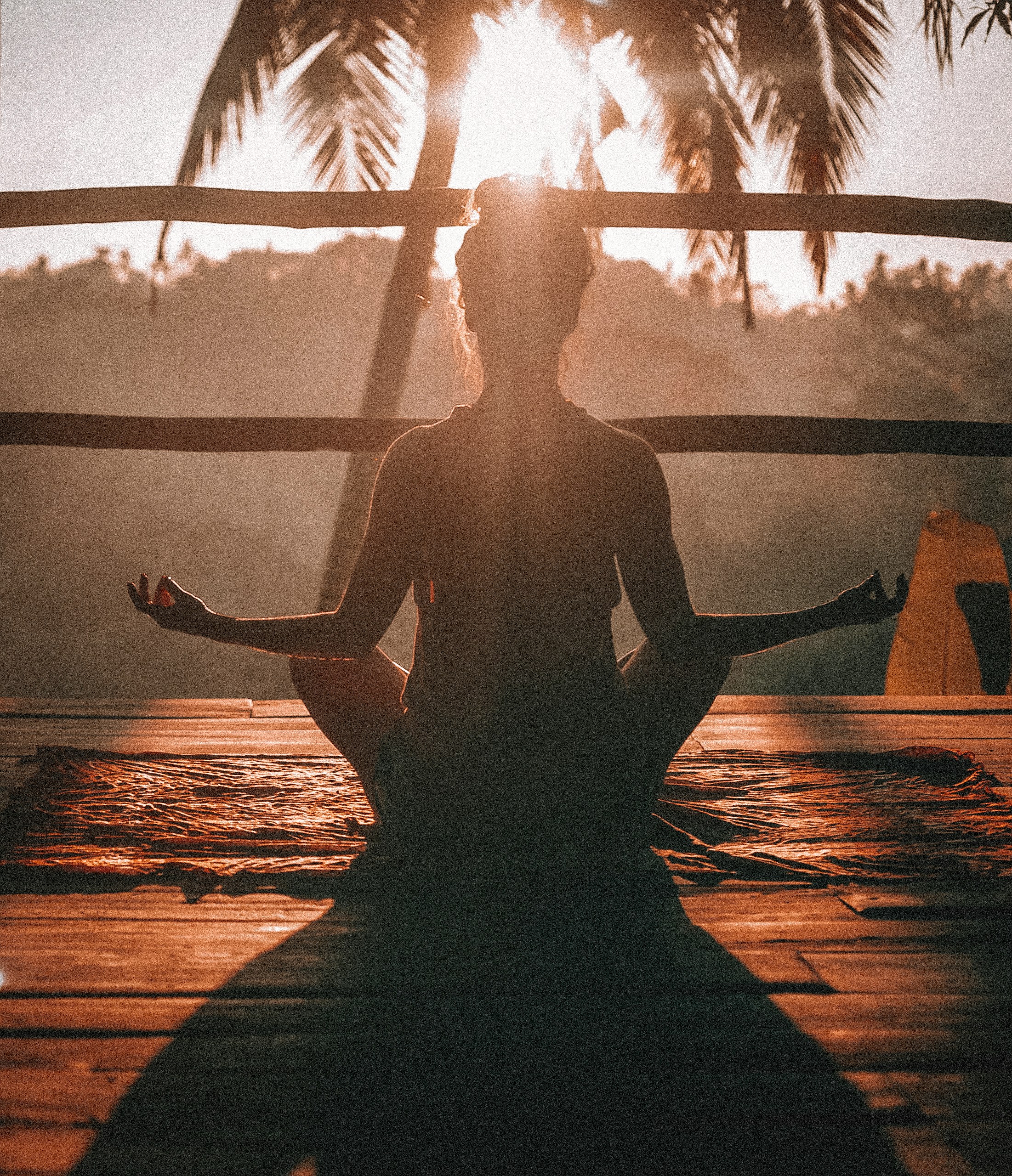 Online Yoga Classes